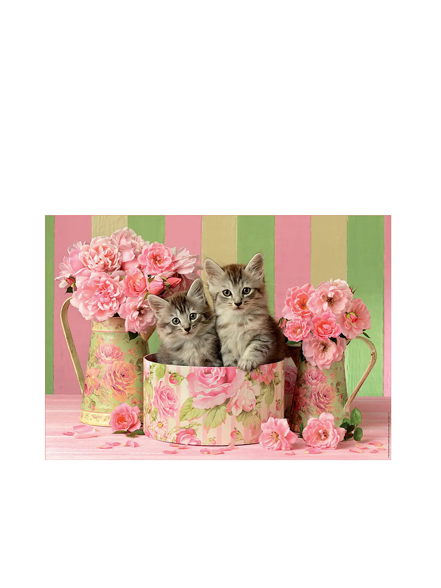 EDUCA | Kätzchen und Rosen 500 Teile Puzzle | 